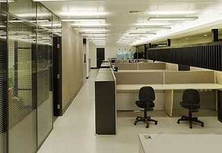 奉贤区多人撸猫方法